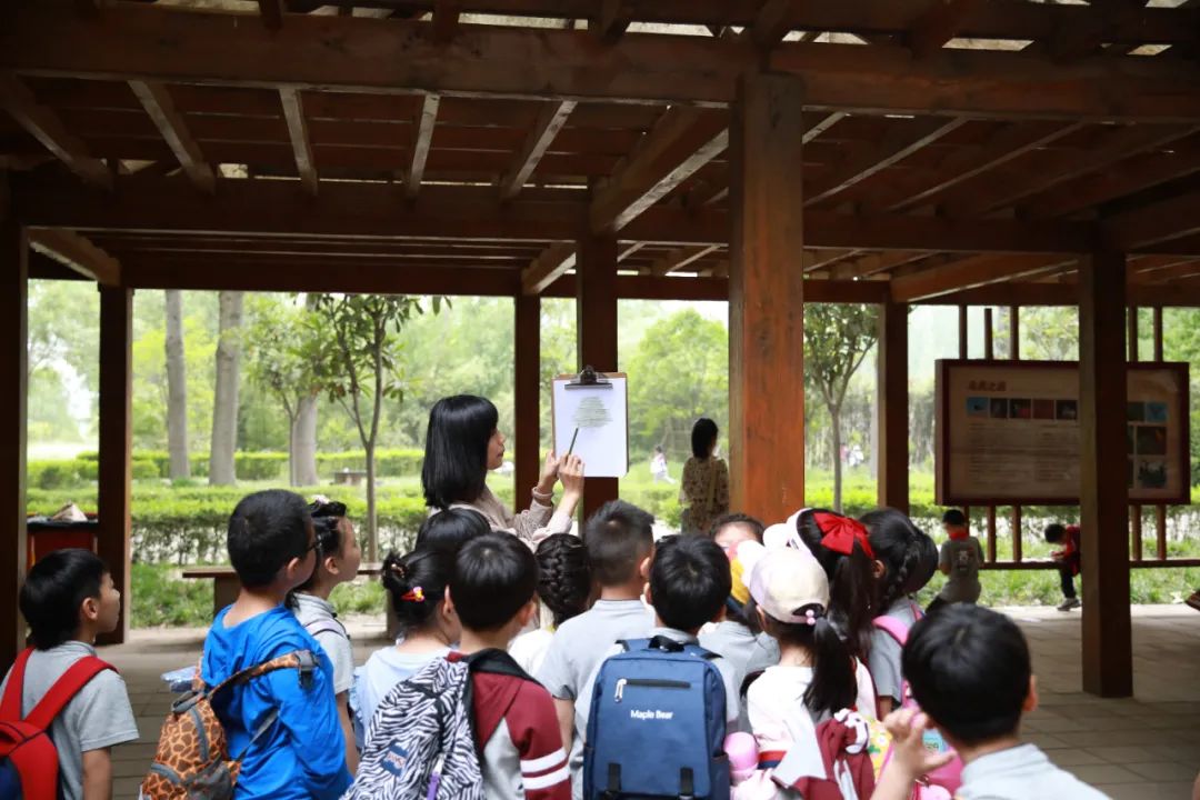 清凉一夏|枫叶小熊小学的夏日美好，等你来探