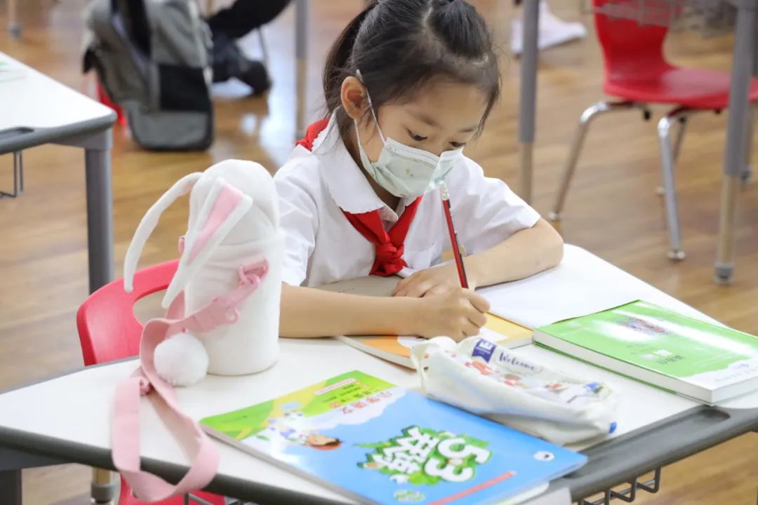 清凉一夏|枫叶小熊小学的夏日美好，等你来探