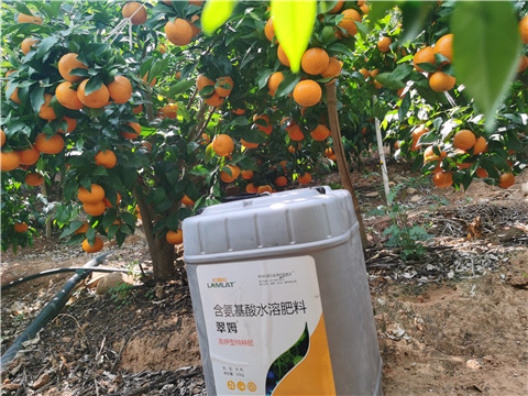 什么水溶肥好，这篇文章不看后悔！
