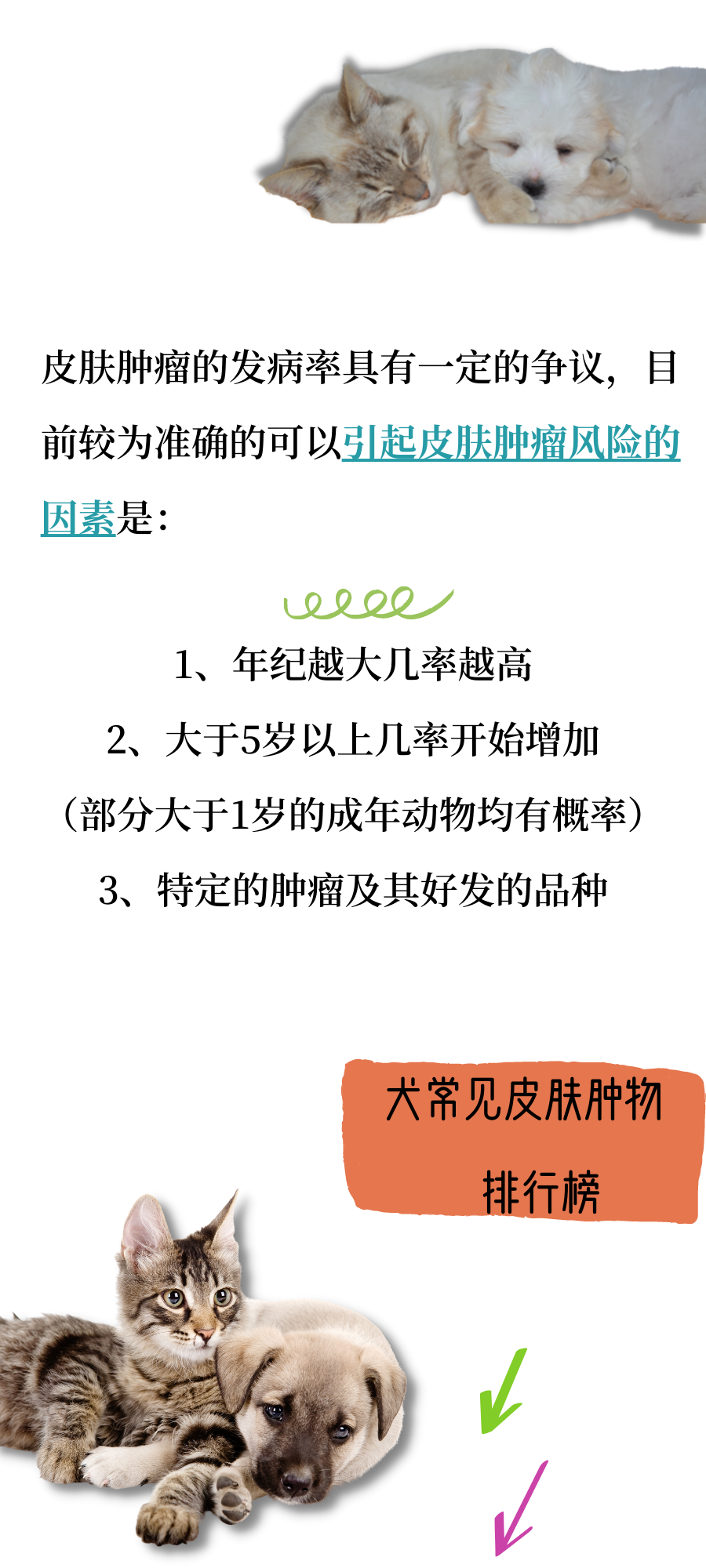 犬猫常见皮肤肿瘤知识，你知道多少？