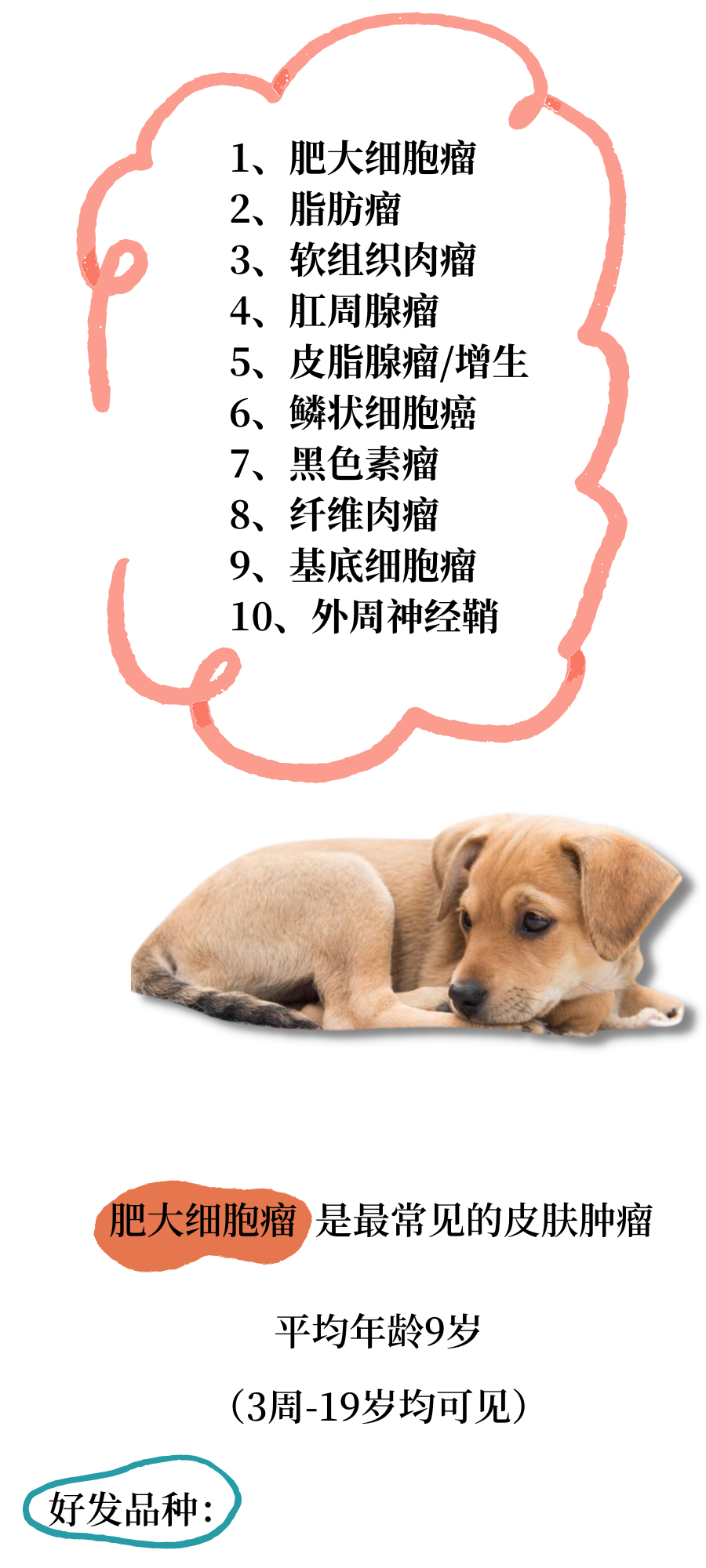 犬猫常见皮肤肿瘤知识，你知道多少？