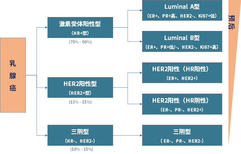 乳腺癌免疫治疗迎来春天，PD-L1检测功不可没！ | 享