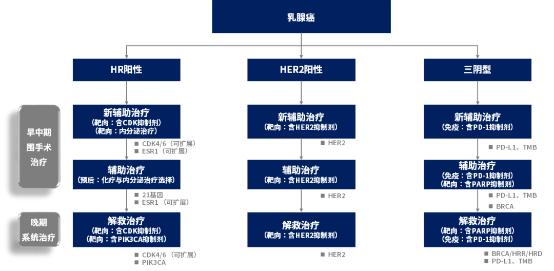 乳腺癌免疫治疗迎来春天，PD-L1检测功不可没！ | 享