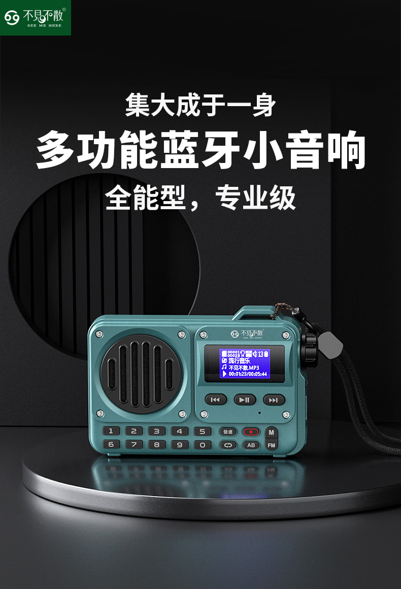 不见不散BV800蓝牙音箱收音机老人户外插卡U盘迷你FM小音响播放器