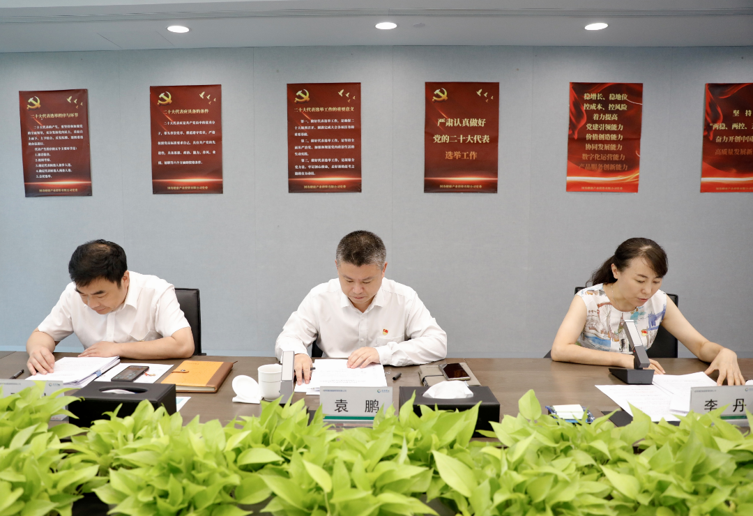 国寿嘉园公司召开2022年上半年工作会议暨深入推进巡视整改再动员再部署会议