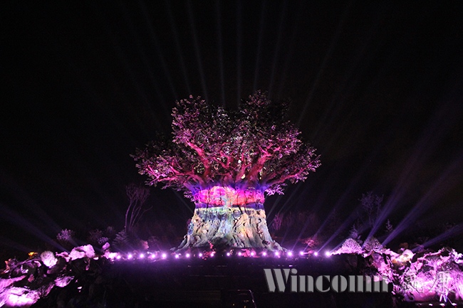 “生命之树”光影秀鲜活上演，激光投影成为现代版神笔马良