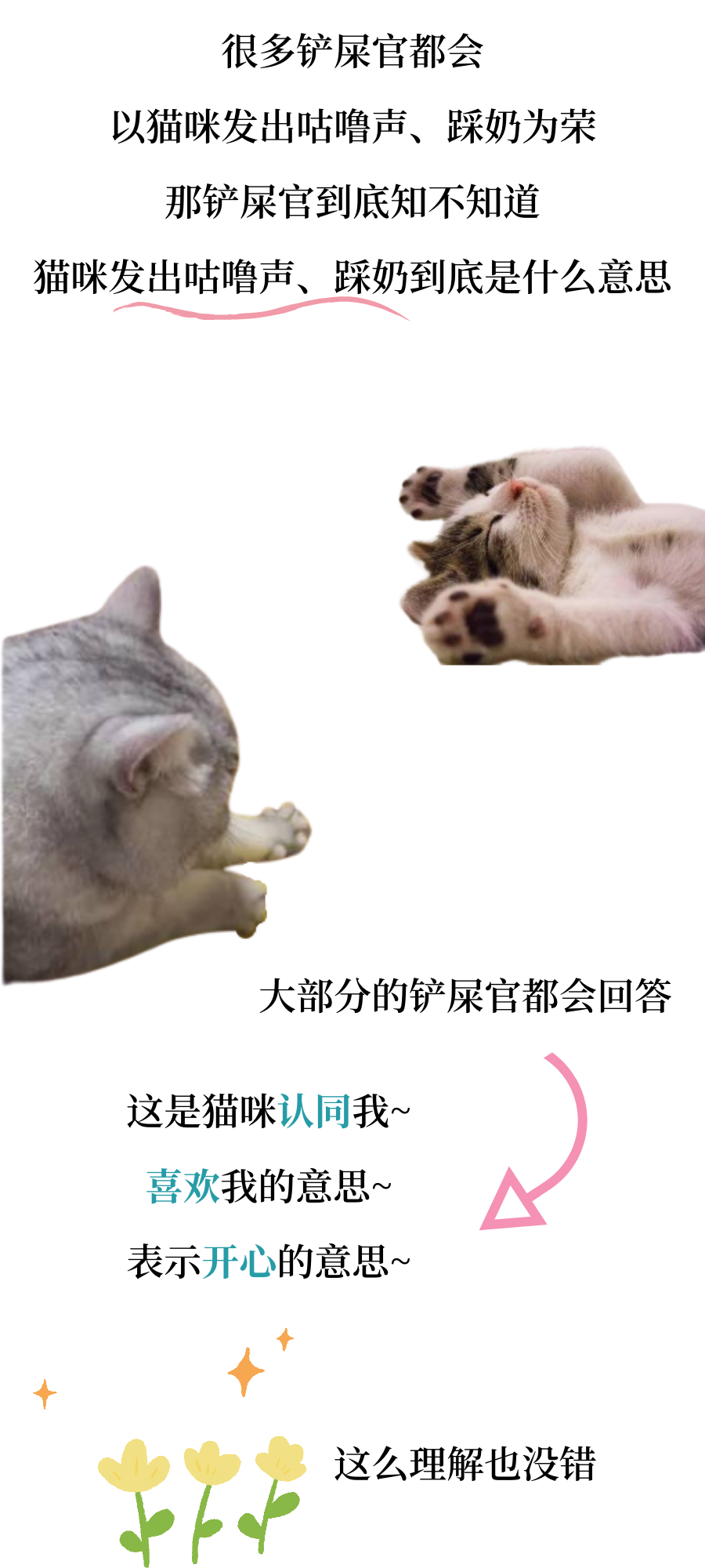 猫咪打呼噜是在回应对方？