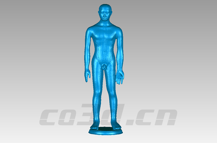 Three dimensional scanning of acupuncture bronze figure