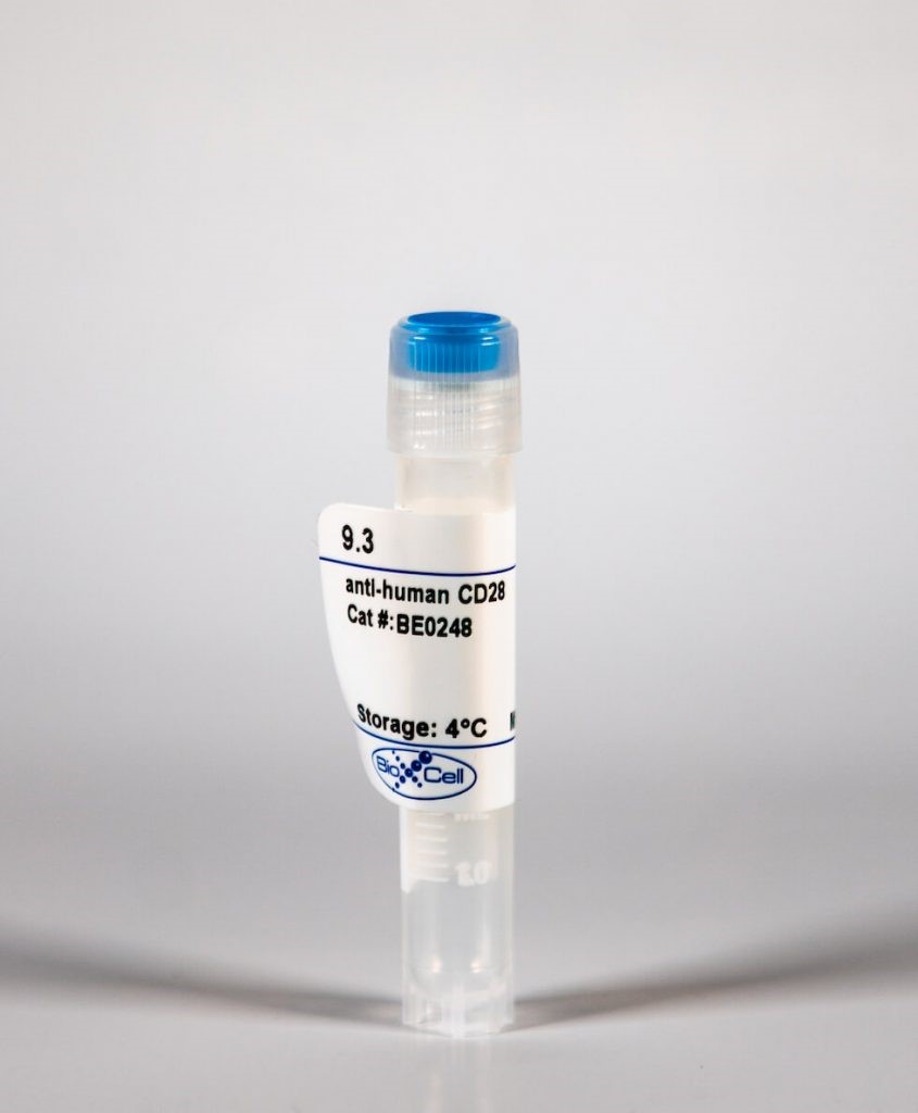 BioXCell热销产品—InVivoMAb anti-human CD28（货号：BE0248）