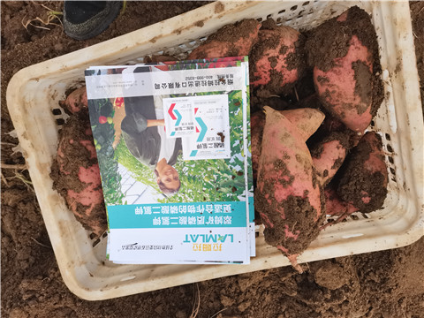 水溶肥排名靠谱不? 水溶肥排名靠谱不?
