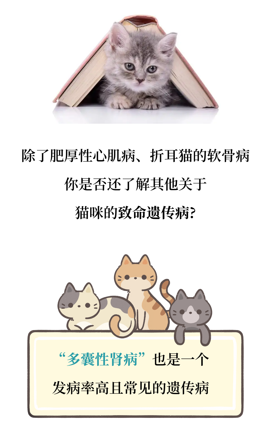 有可能，你的猫正在默默忍受