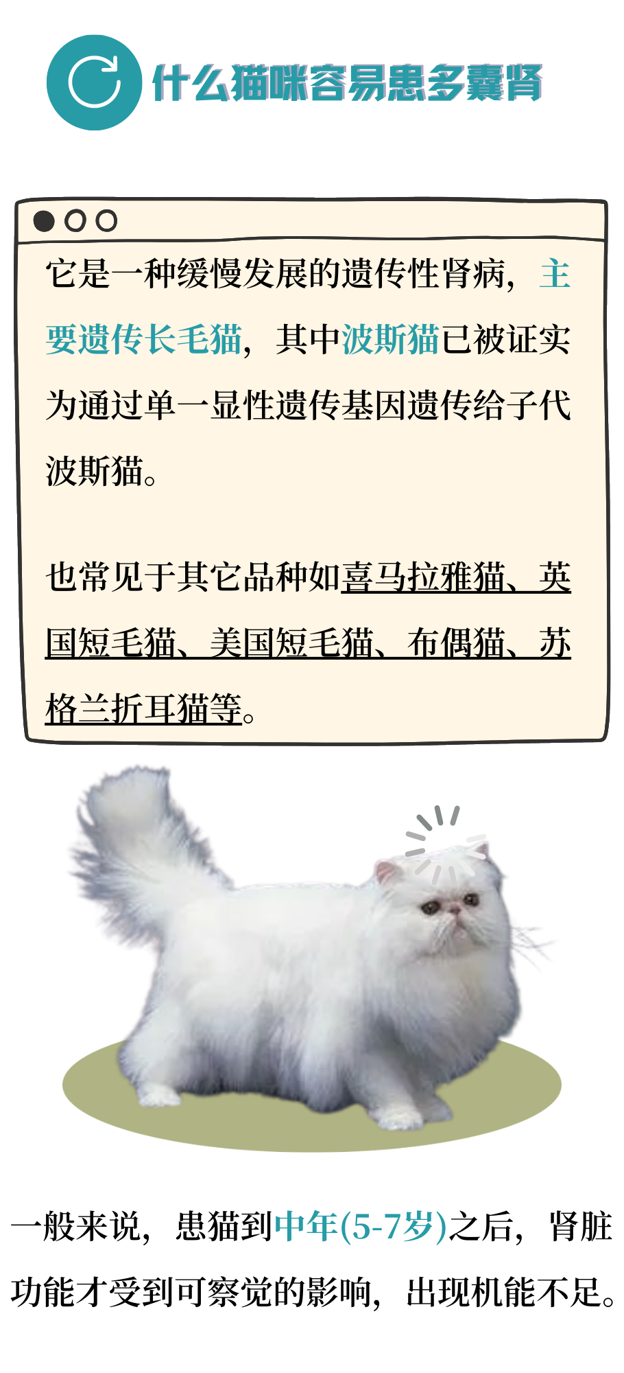 有可能，你的猫正在默默忍受