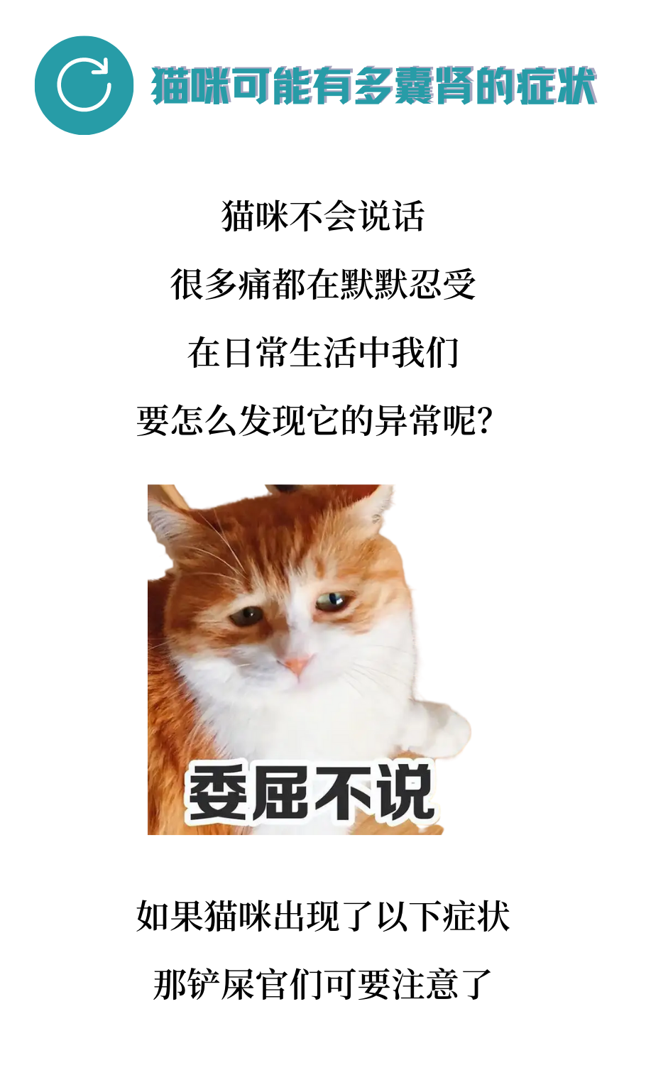 有可能，你的猫正在默默忍受