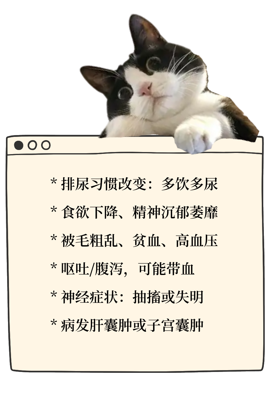 有可能，你的猫正在默默忍受