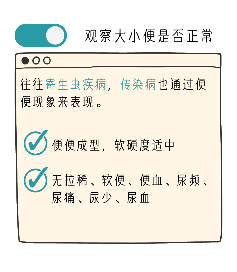 出现这些症状，就代表你的猫咪需要体检了！