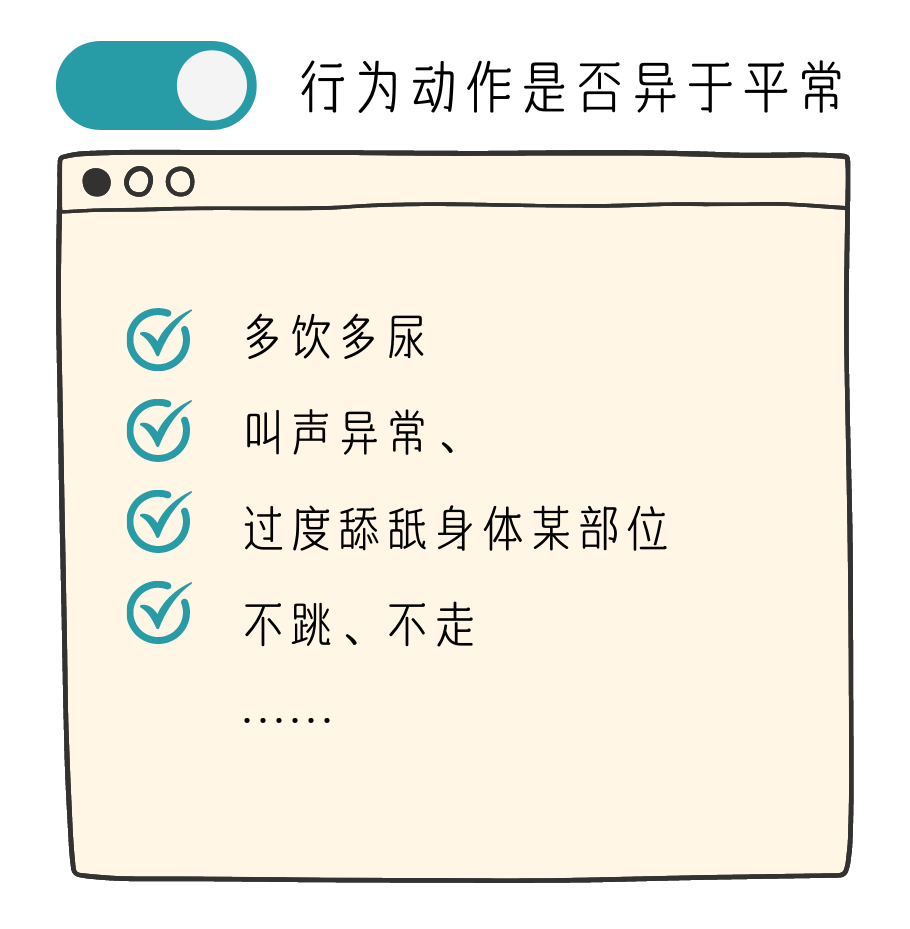 出现这些症状，就代表你的猫咪需要体检了！