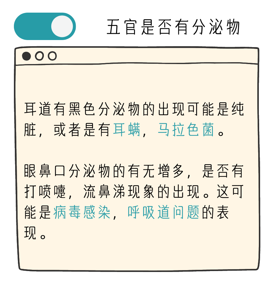 出现这些症状，就代表你的猫咪需要体检了！