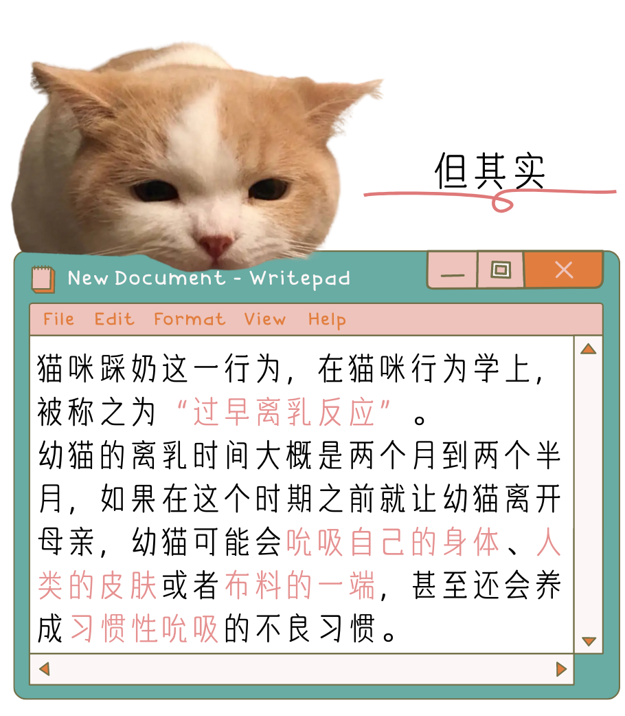 猫咪为什么会“踩奶”？这些真相你必须知道