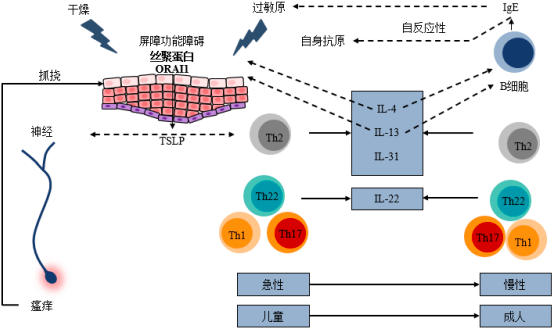 2022年特应性皮炎药物行业国内外重点企业市场销售份额占比分析及市场发展战略预测咨询