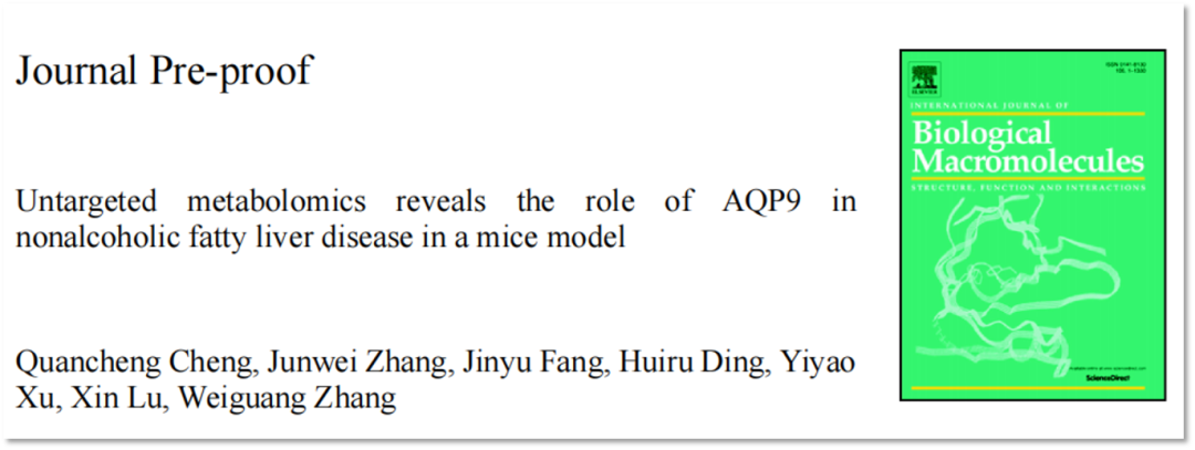 热点解读｜非靶向代谢组学揭示AQP9在非酒精性脂肪肝中的作用