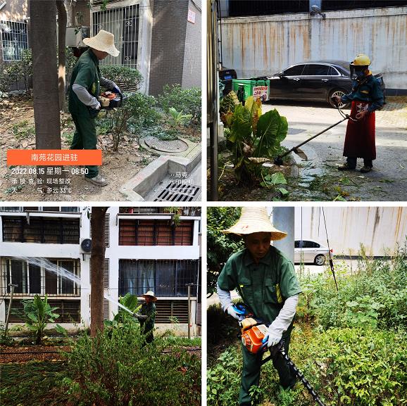 履行社会责任担当，体现物业服务水平 ----居安物业进驻南苑花园纪实     