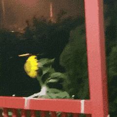 今年第9号台风已生成!台风天气如何应对? 今年第9号台风已生成!台风天气如何应对?