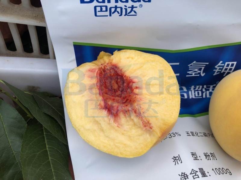 桃樹用什么肥料桃子甜