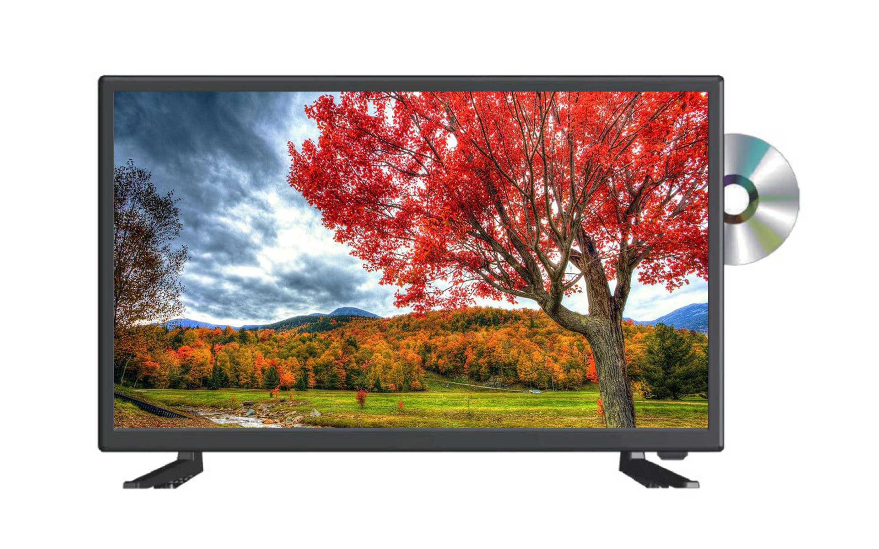 ASTEX DVDプレーヤー内蔵 16インチ ハイビジョン液晶テレビ AS