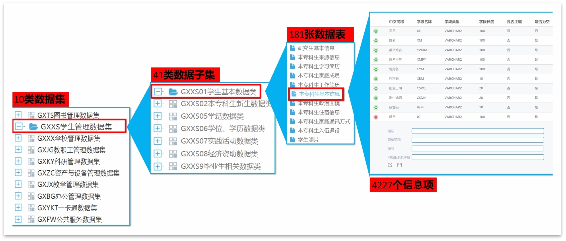 建设成效与价值