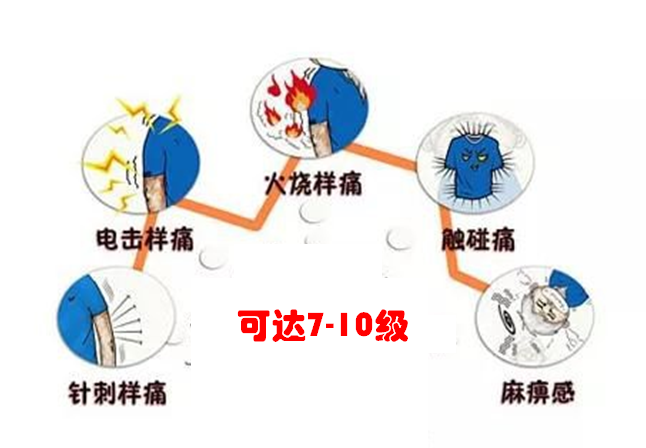 获上市申请受理!领晟首个拟上市品种启动销售准备 | 项目发展 获上市申请受理!领晟首个拟上市品种启动销售准备 | 项目发展