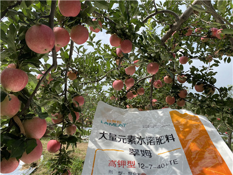 好的水溶肥选的对,作物收益才会高 好的水溶肥选的对,作物收益才会高