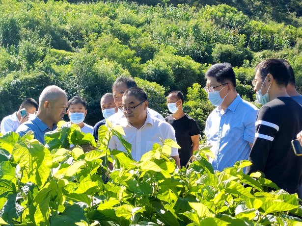 科技助力产业, 把论文写在大地上 科技助力产业, 把论文写在大地上