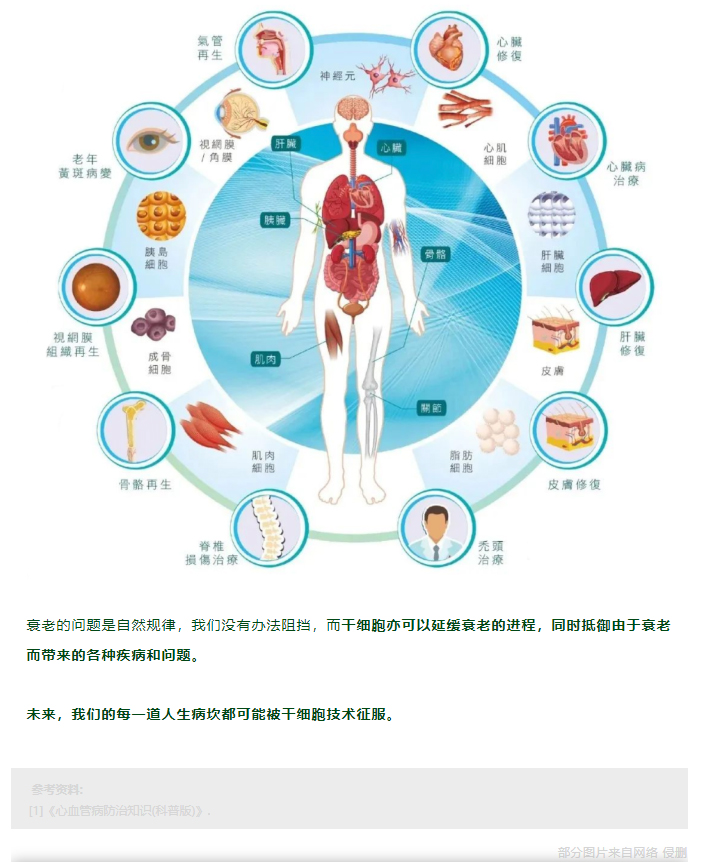 30 岁后每十年一道坎儿，干细胞技术帮你征服人生每一道病坎！