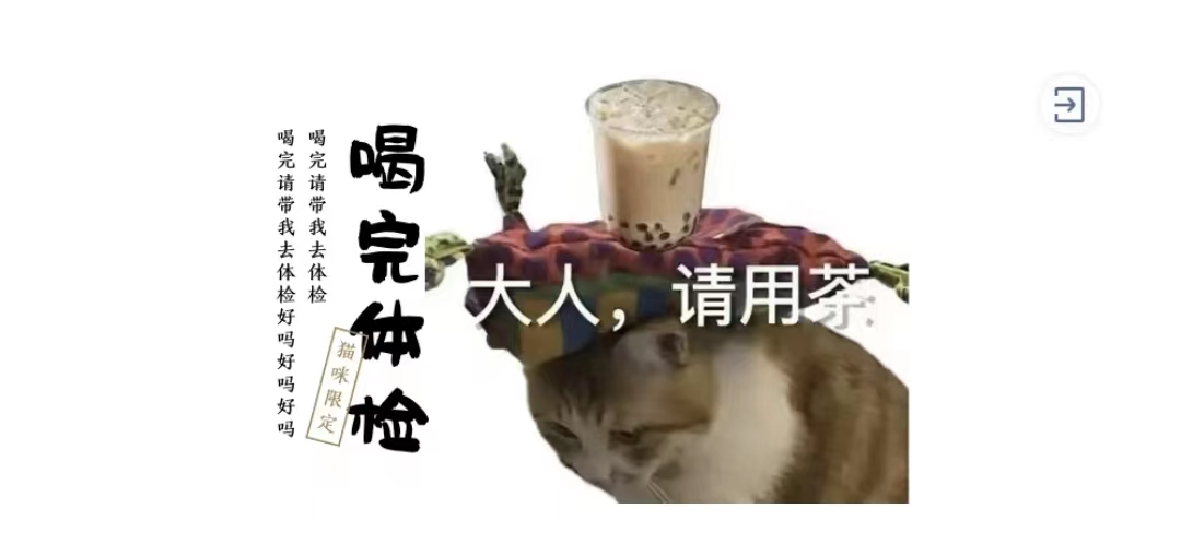 做好以下几点，轻松带猫出门体检