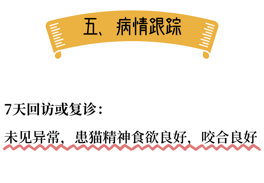 拥有定制牙冠后，我步入了上流社会……