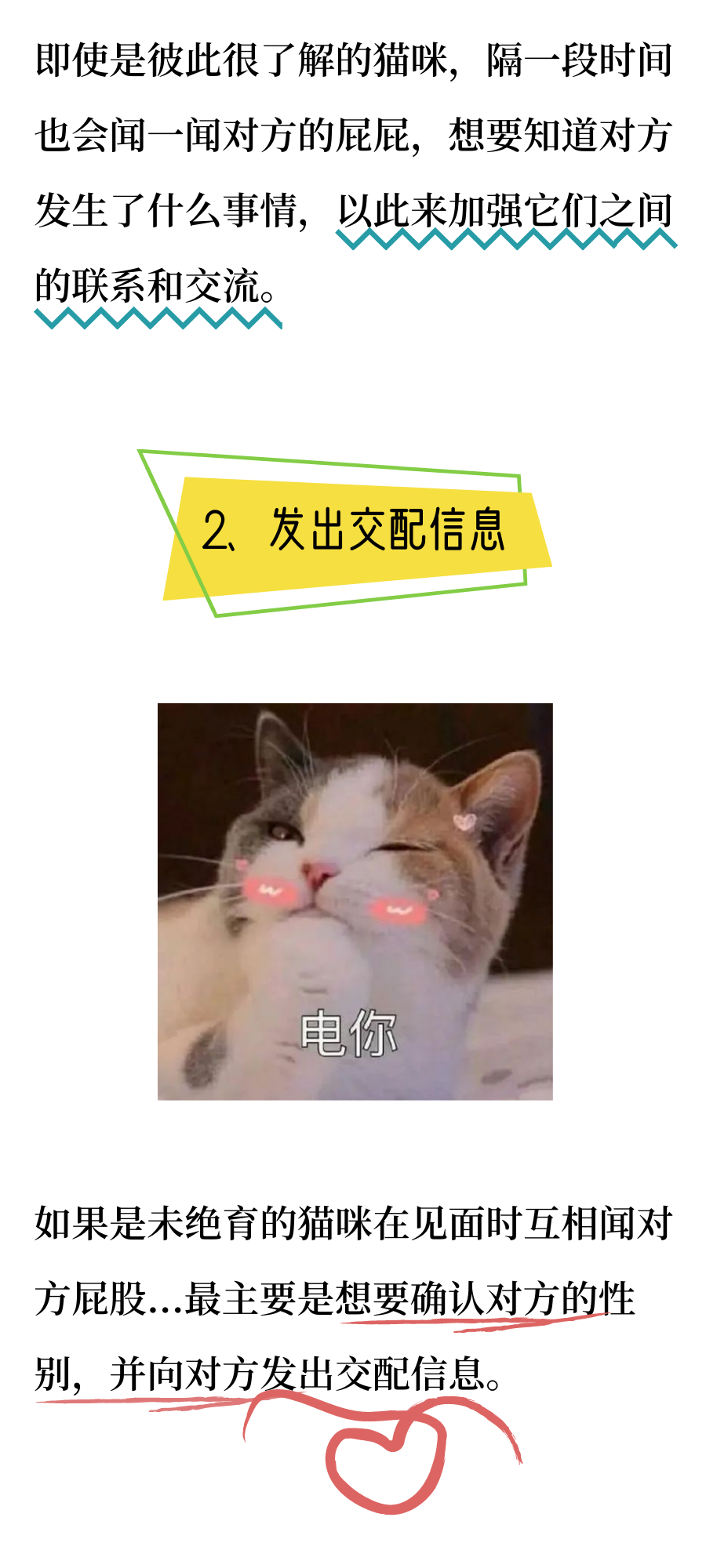 为什么小猫咪都那么重口味呢？