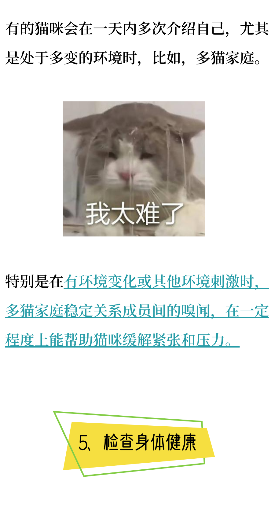 为什么小猫咪都那么重口味呢？