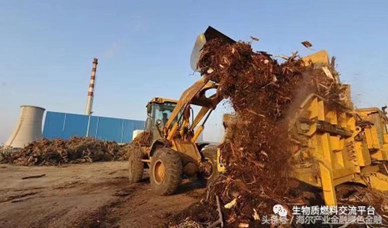 【阿拉丁觀察】2025年我國生物質能發電量預計達3235億千瓦時 【阿拉丁觀察】2025年我國生物質能發電量預計達3235億千瓦時