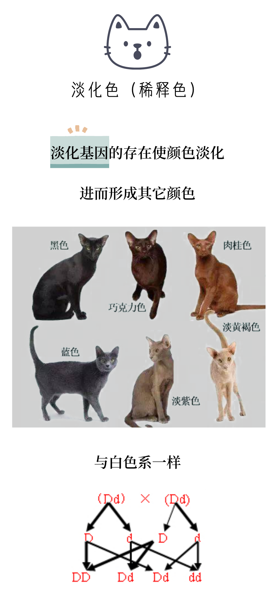 为什么三花猫基本都是母猫？