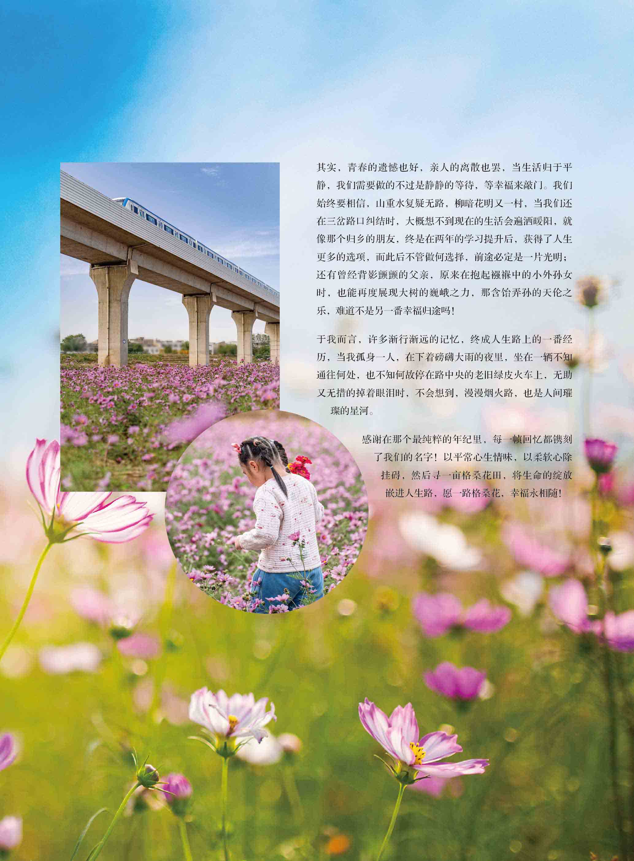 一路格桑花