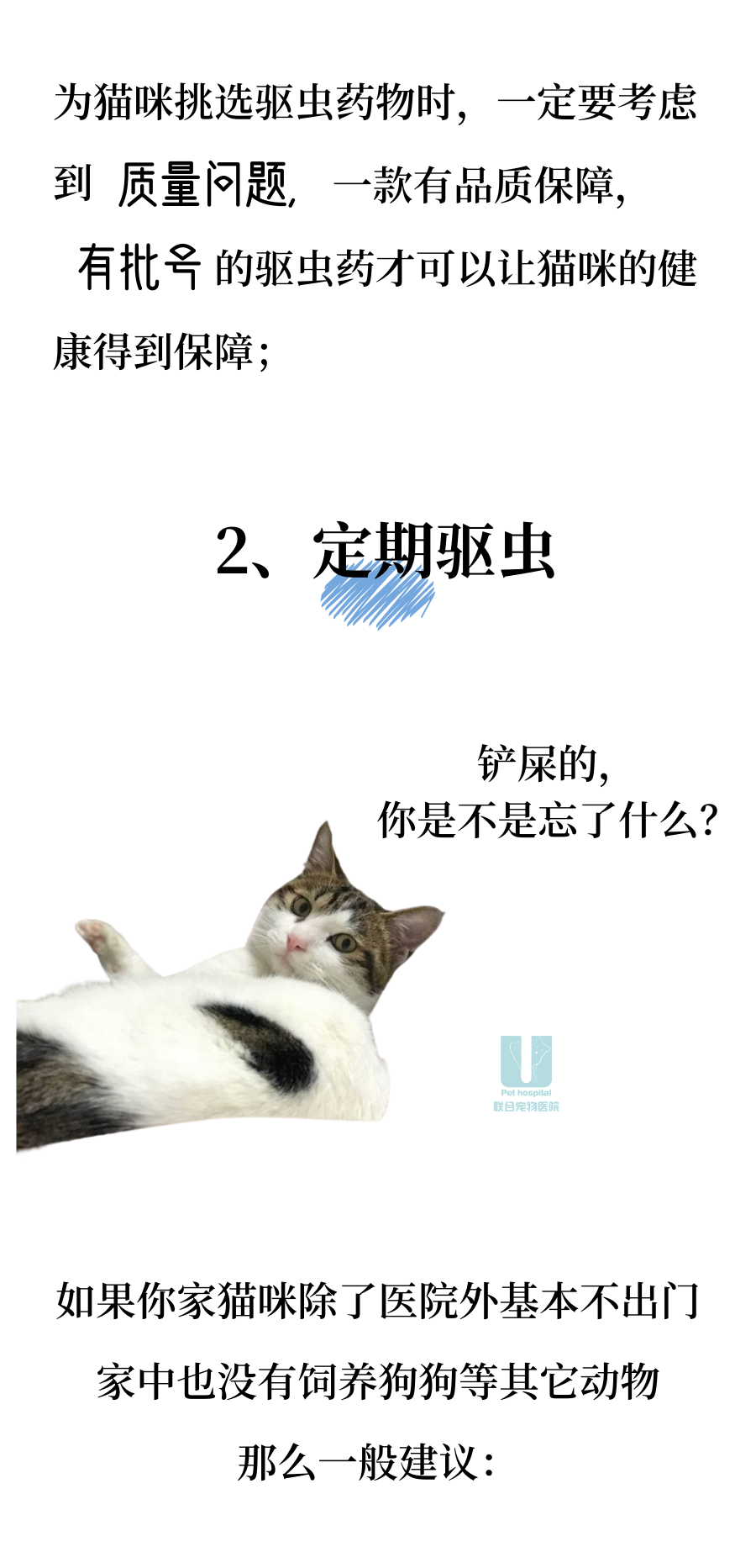 猫咪驱虫那些事儿