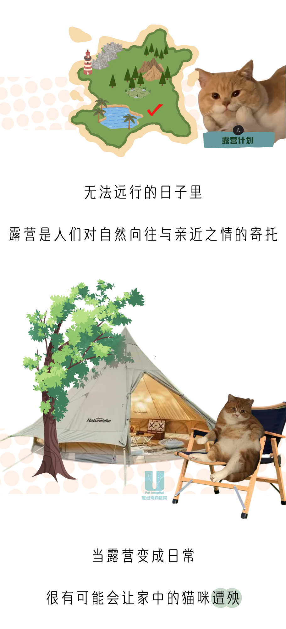 露营这是也和小猫咪有关系？