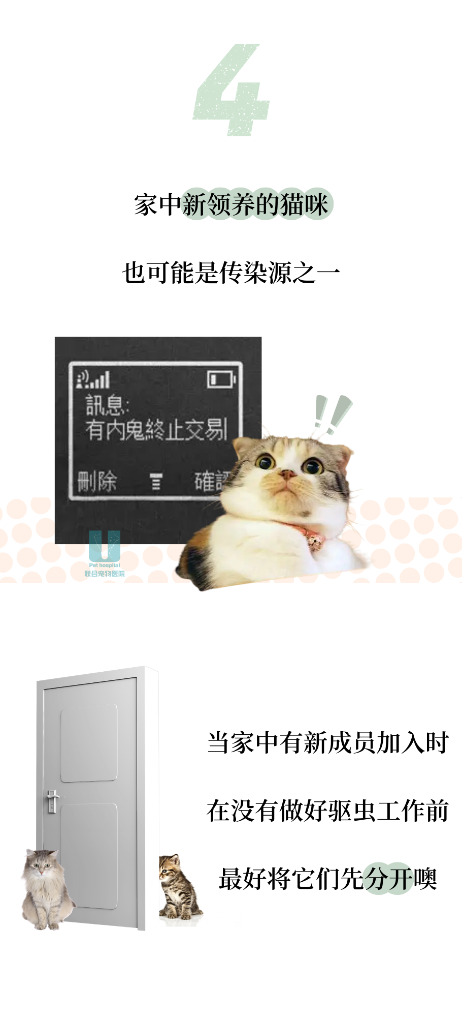 露营这是也和小猫咪有关系？