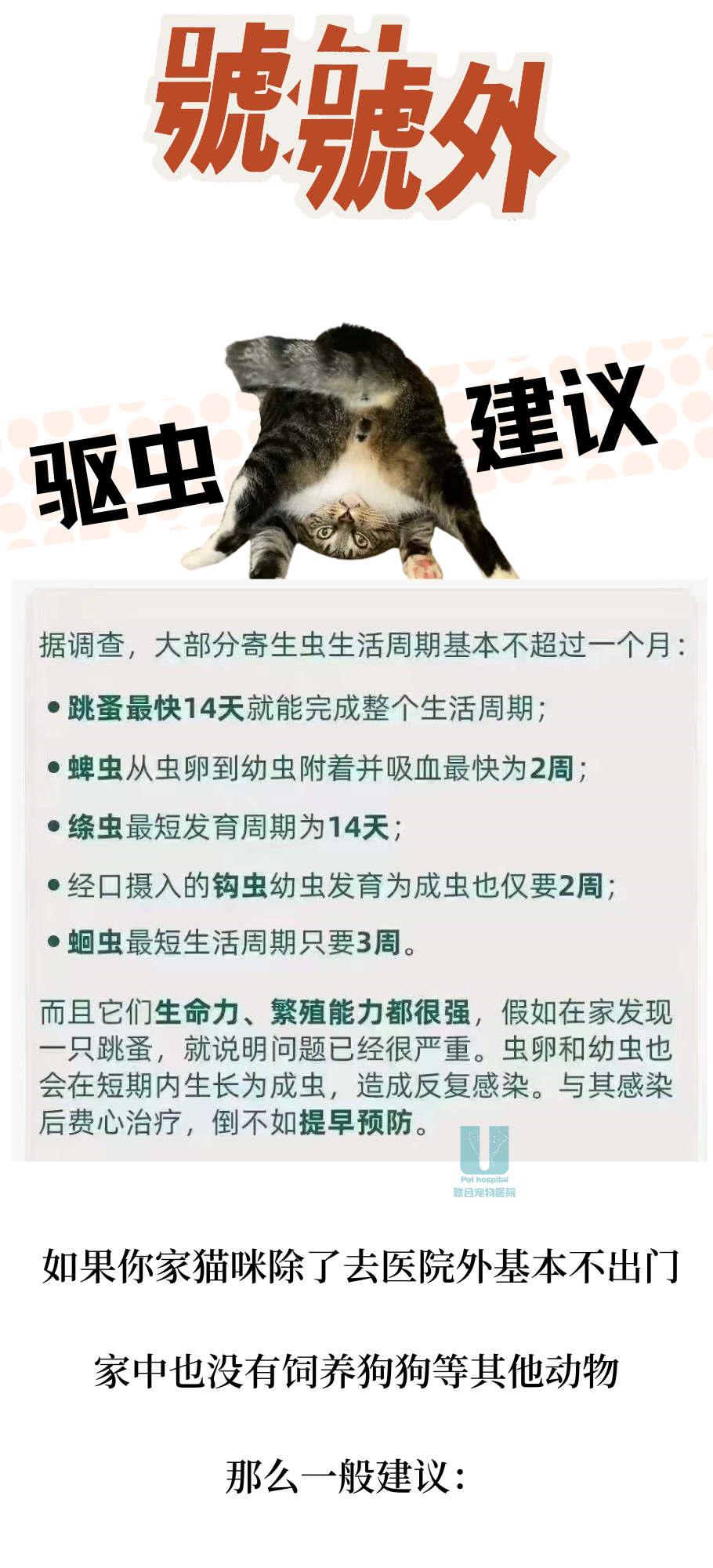 露营这是也和小猫咪有关系？