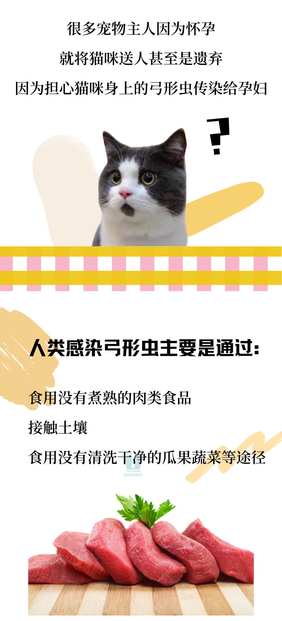 因为怀孕了家人要送走我的猫我该如何劝说？