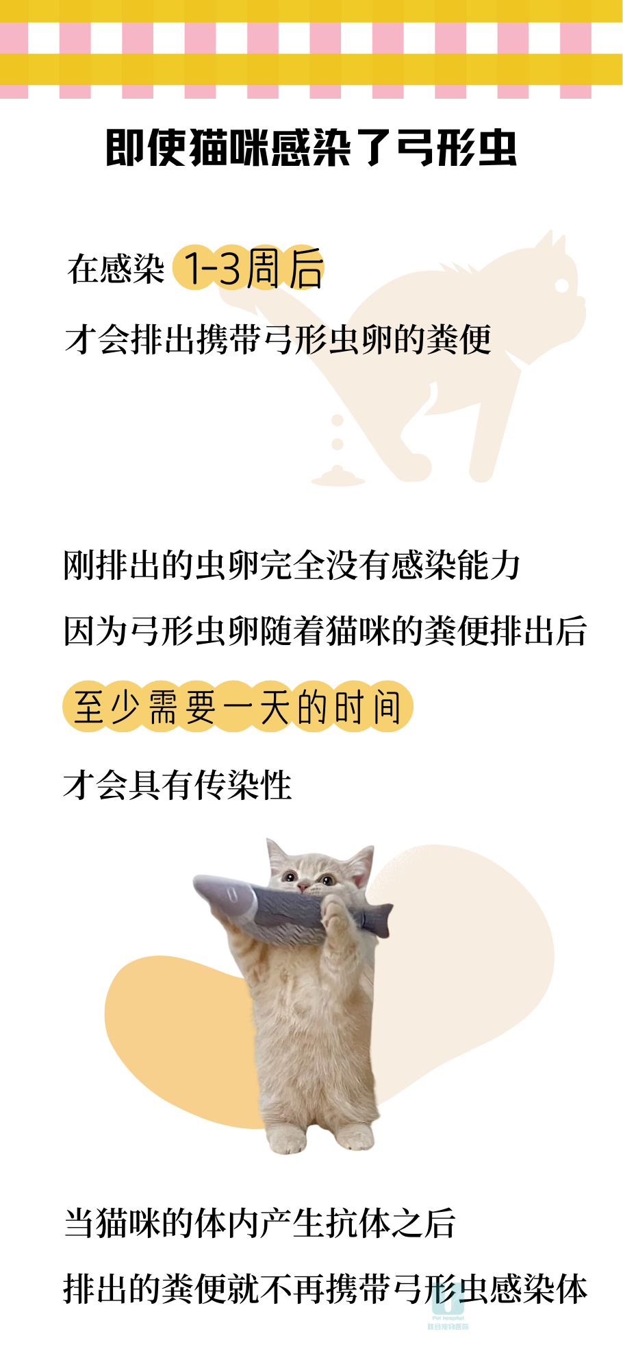 因为怀孕了家人要送走我的猫我该如何劝说？