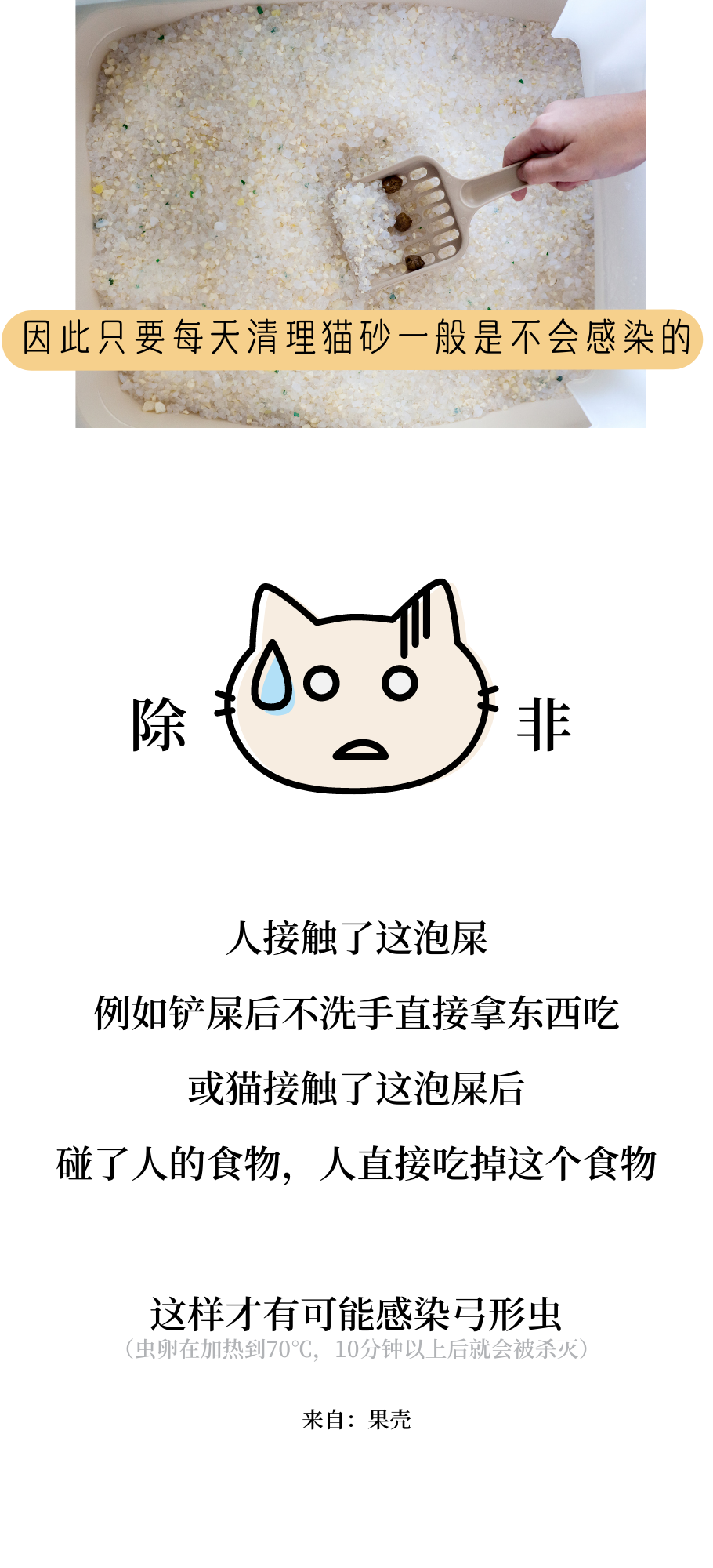 因为怀孕了家人要送走我的猫我该如何劝说？