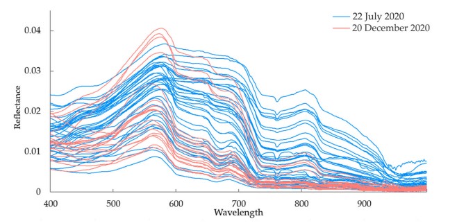 Retrieval of Suspended Sediment Concentrations in the Pearl River Estuary Using Multi-Source Satelli