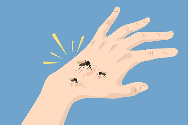 蚊子叮咬千万别大意，否则很容易感染疾病