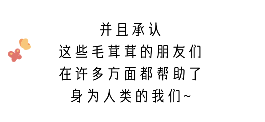 今天是国际爱狗日，猫咪暂缺退步